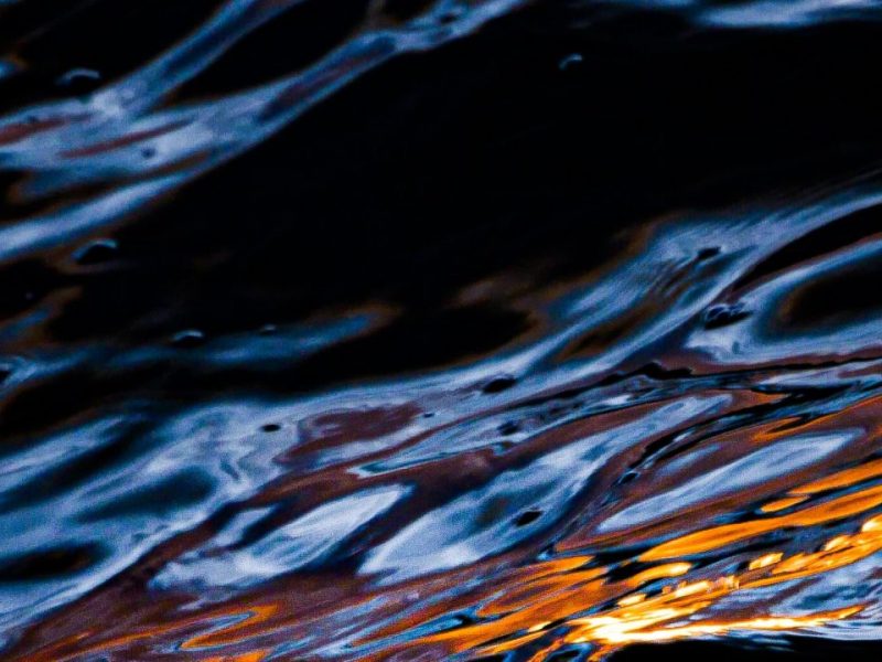 Investing in The Future of&nbsp;Humanity.