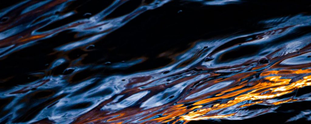 Investing in The Future of&nbsp;Humanity.